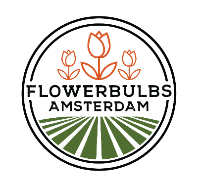 Flowerbulbs Amsterdam